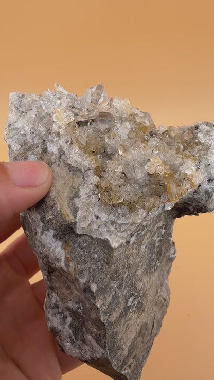 Beautiful Herkimer Diamond Druzy Specimen w/ In Matrix "Percher" Crystal